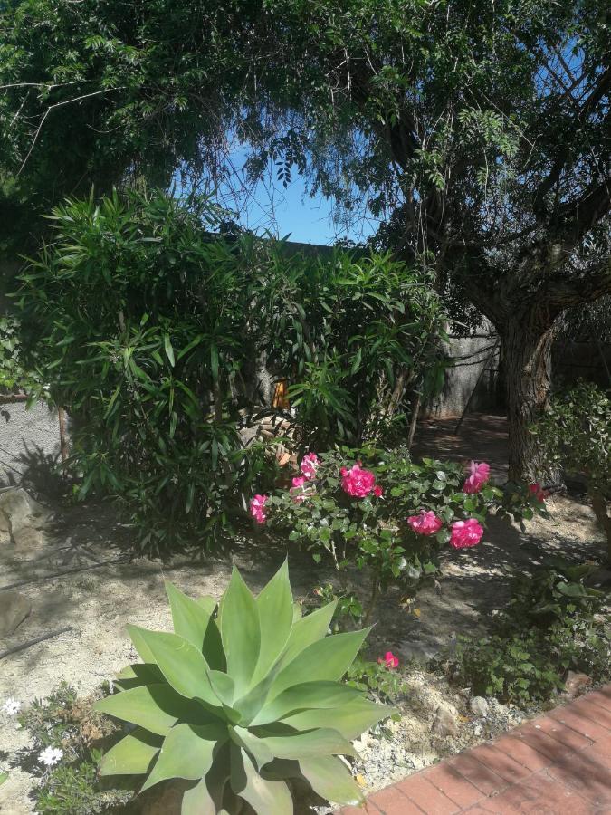 Finca San Diego, Villa Entera Para Ti Vallonga Dış mekan fotoğraf