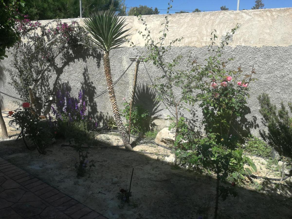 Finca San Diego, Villa Entera Para Ti Vallonga Dış mekan fotoğraf